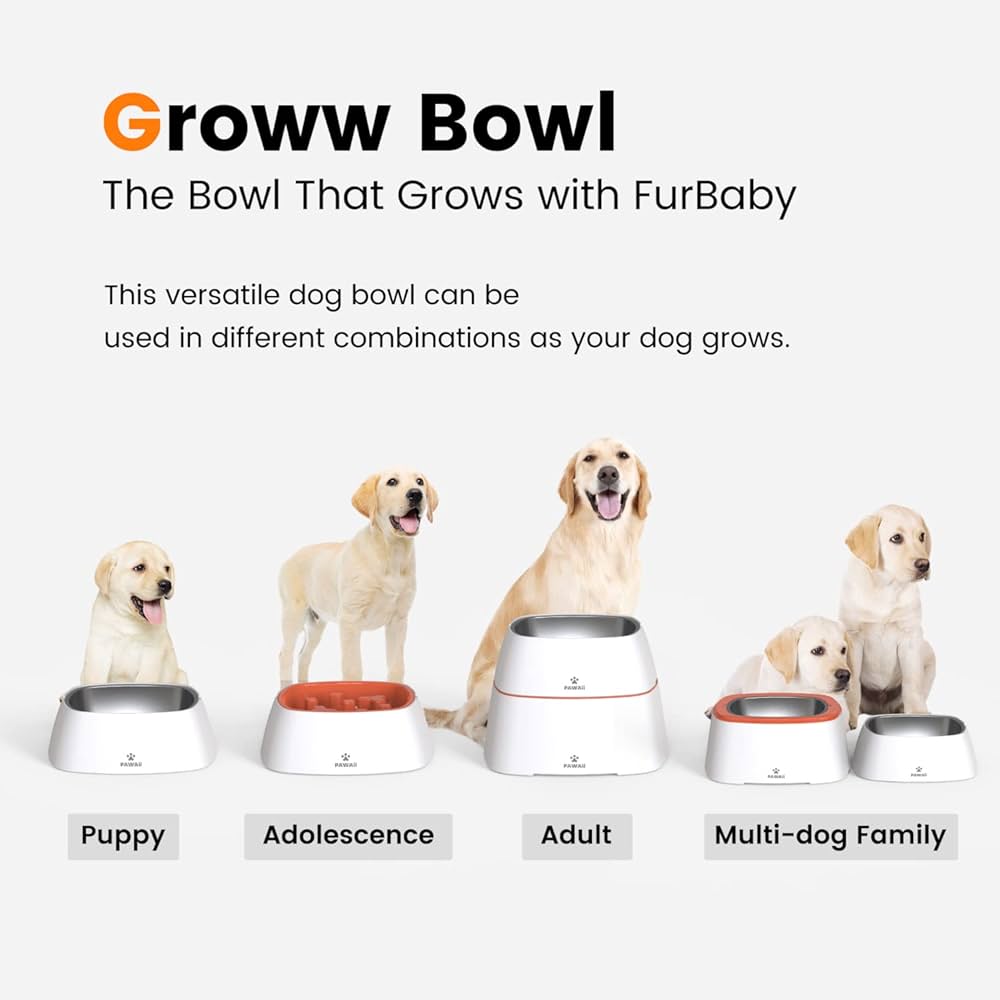 Pawaii Magic Dog Bowls, Slow Feeder Multi-Function Food Water Bowl Set with  Elevated Dog Bowls, Stainless Steel Dog Bowl for Large Dog (Full Set  Design)