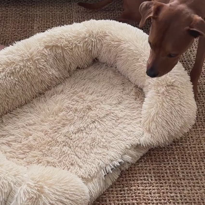 Pelsbarn Orthopedic Dog Bed Review: Is the 44% Off Deal Worth It?