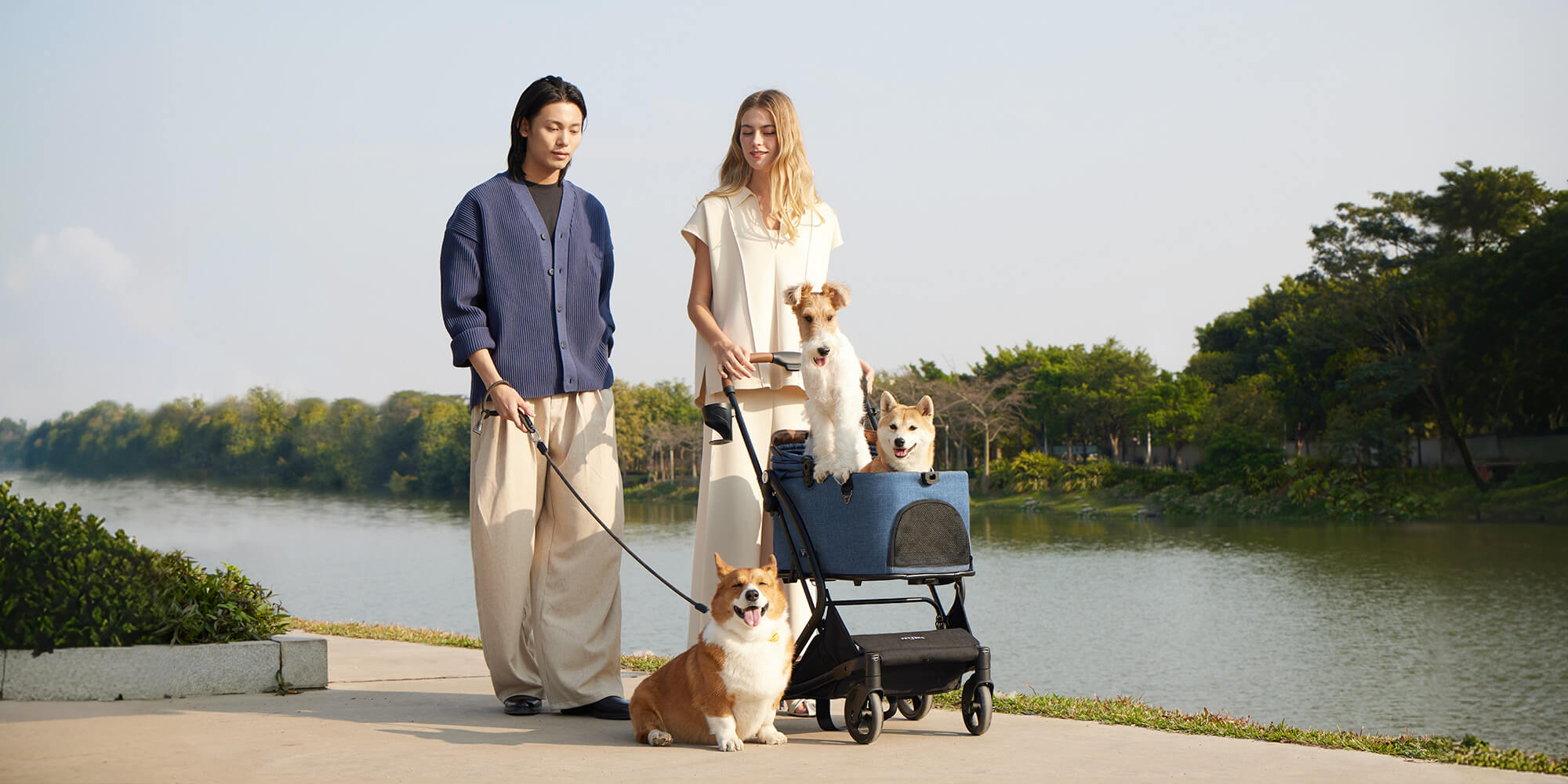 Why Modern Pet Owners Need PETTENA Pet Supplies