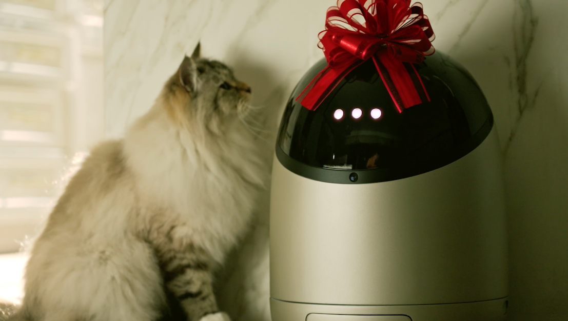 Sphinx Cat Feeder | The Automatic Wet Cat Food Feeder