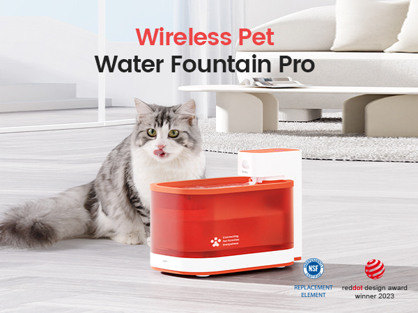 Why PAWAii Might Be the Pet Brand You Didn’t Know You Needed