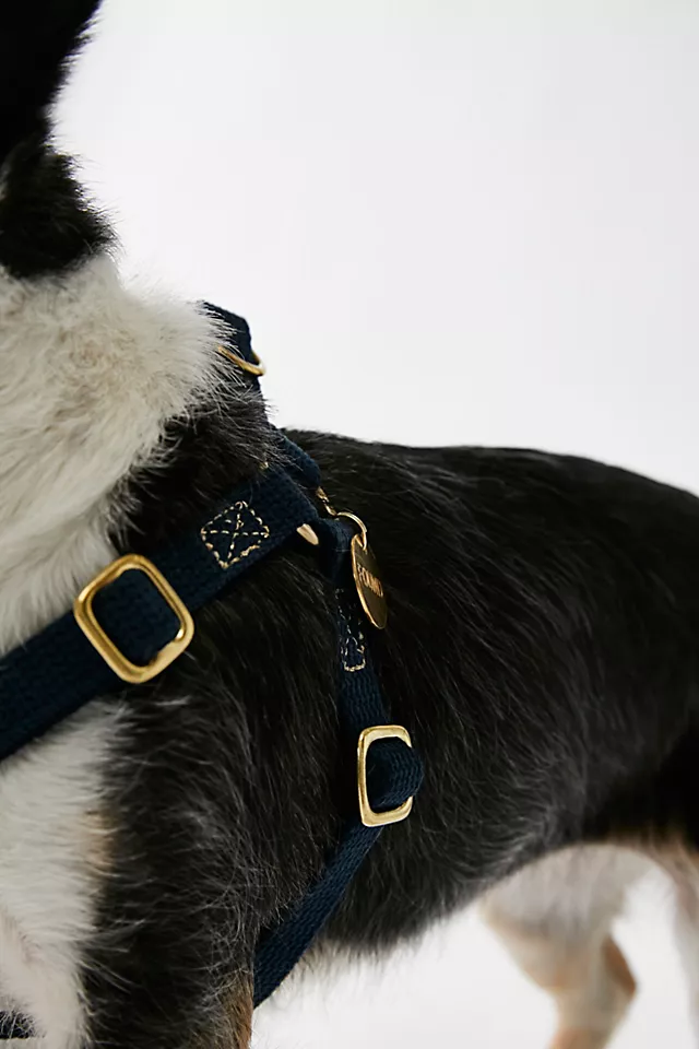 Craftsmanship and Quality of Found My Animal Products