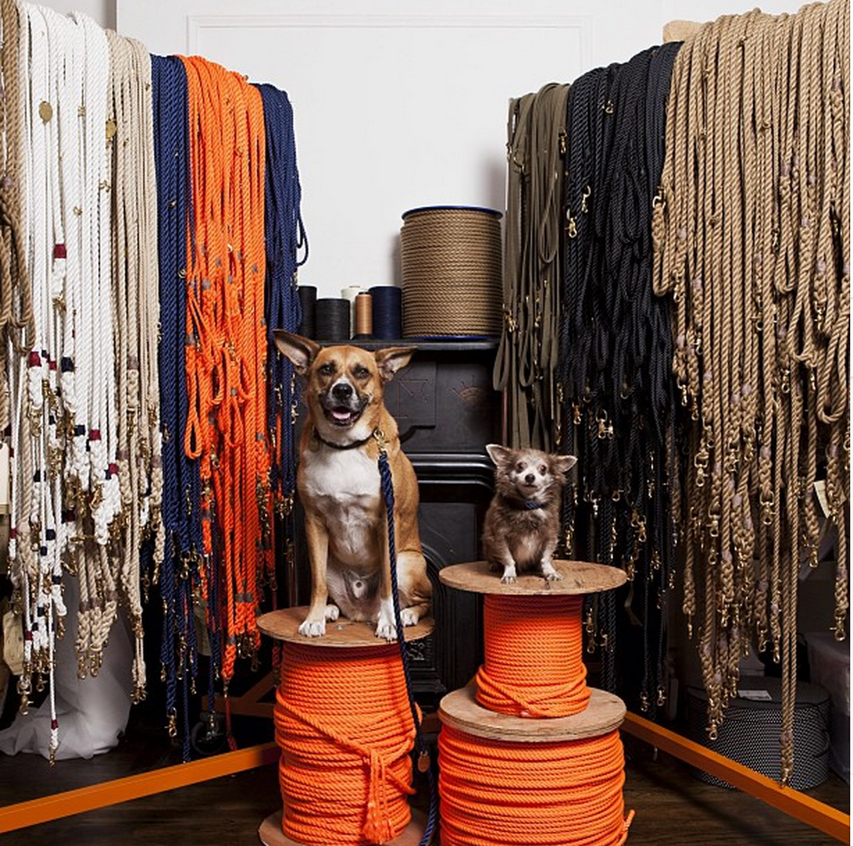 Global Reach: Found My Animal's Partnerships and Retail Presence
