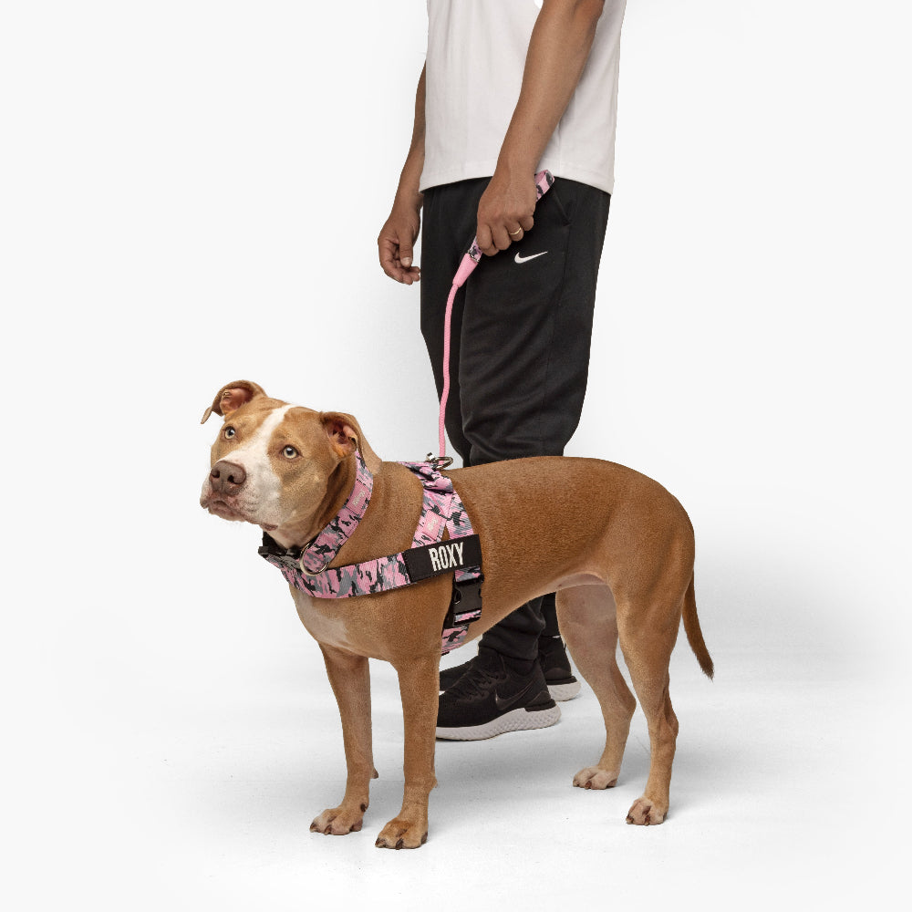 Comparing Dog Friendly Co. Harnesses with Other Popular Brands in the 2025 Market