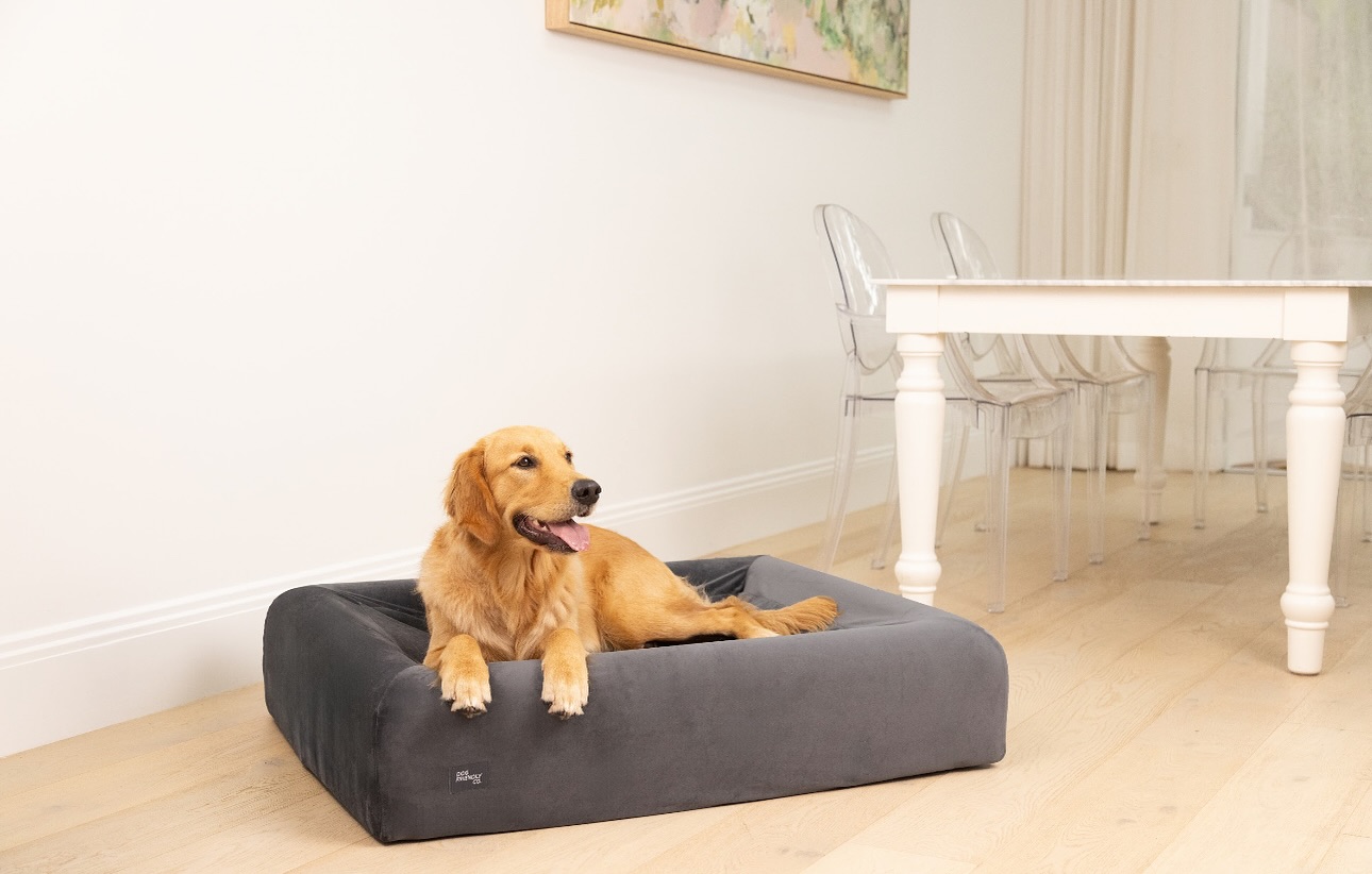Orthopedic Memory Foam Dog Beds for Ultimate Comfort