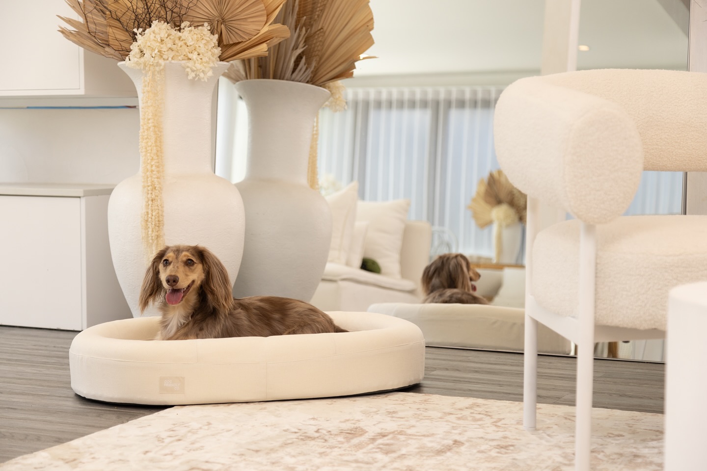 Why Dog Friendly Co. Stands Out in the Dog Harness Market
